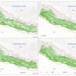 Nepal Forest Cover Analysis 1984 to 2022