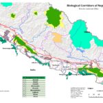 A Symphony of Voices for Nature Conservation 2024