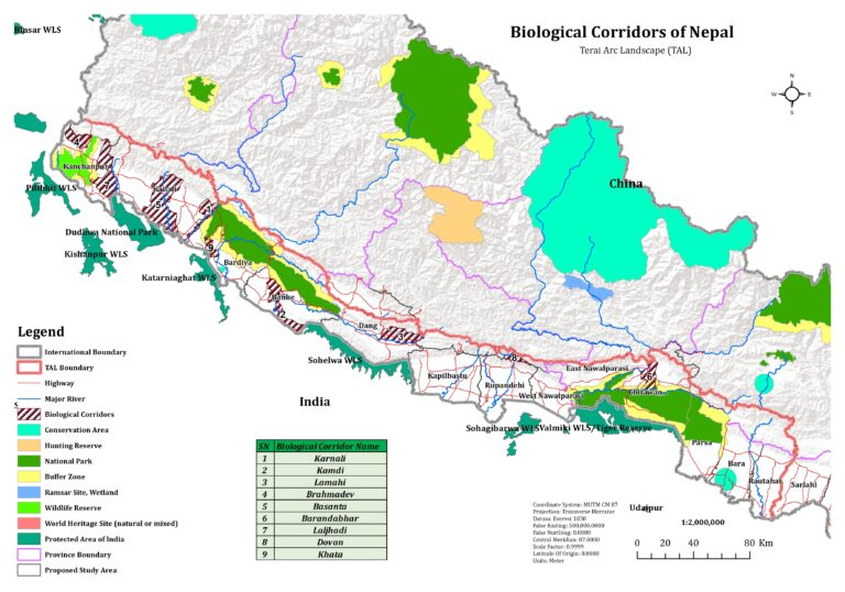 A Symphony of Voices for Nature Conservation 2024